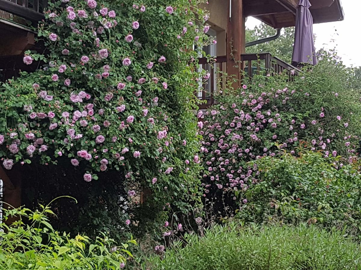 A La Petite Maison Gap Zewnętrze zdjęcie